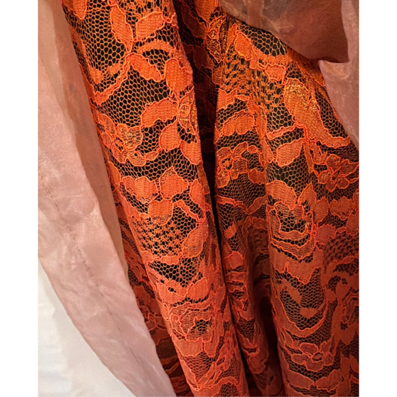 Lili Wang for Lili's Closet Organza Lace Dress Evening Cocktail Party Sz 10 - Picture 8 of 10